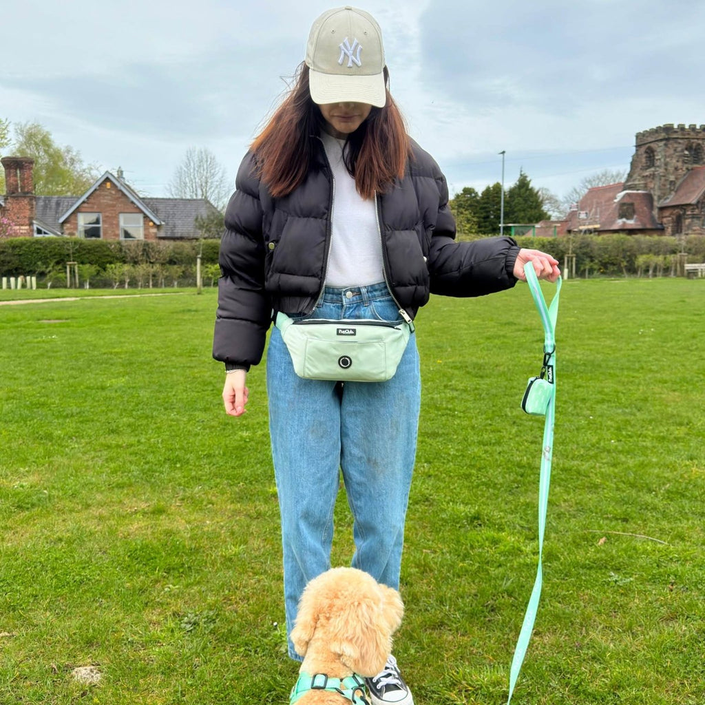 Dog Walking Bum Bag – Sage Green | Waterproof Waist & Crossbody Bag