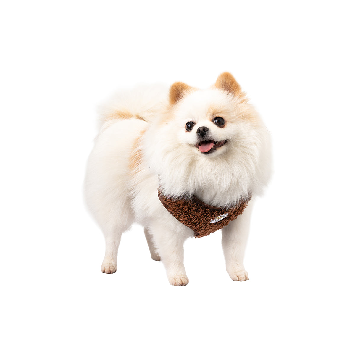 Soho Poms Carnaby Harness - Cocoa Bean