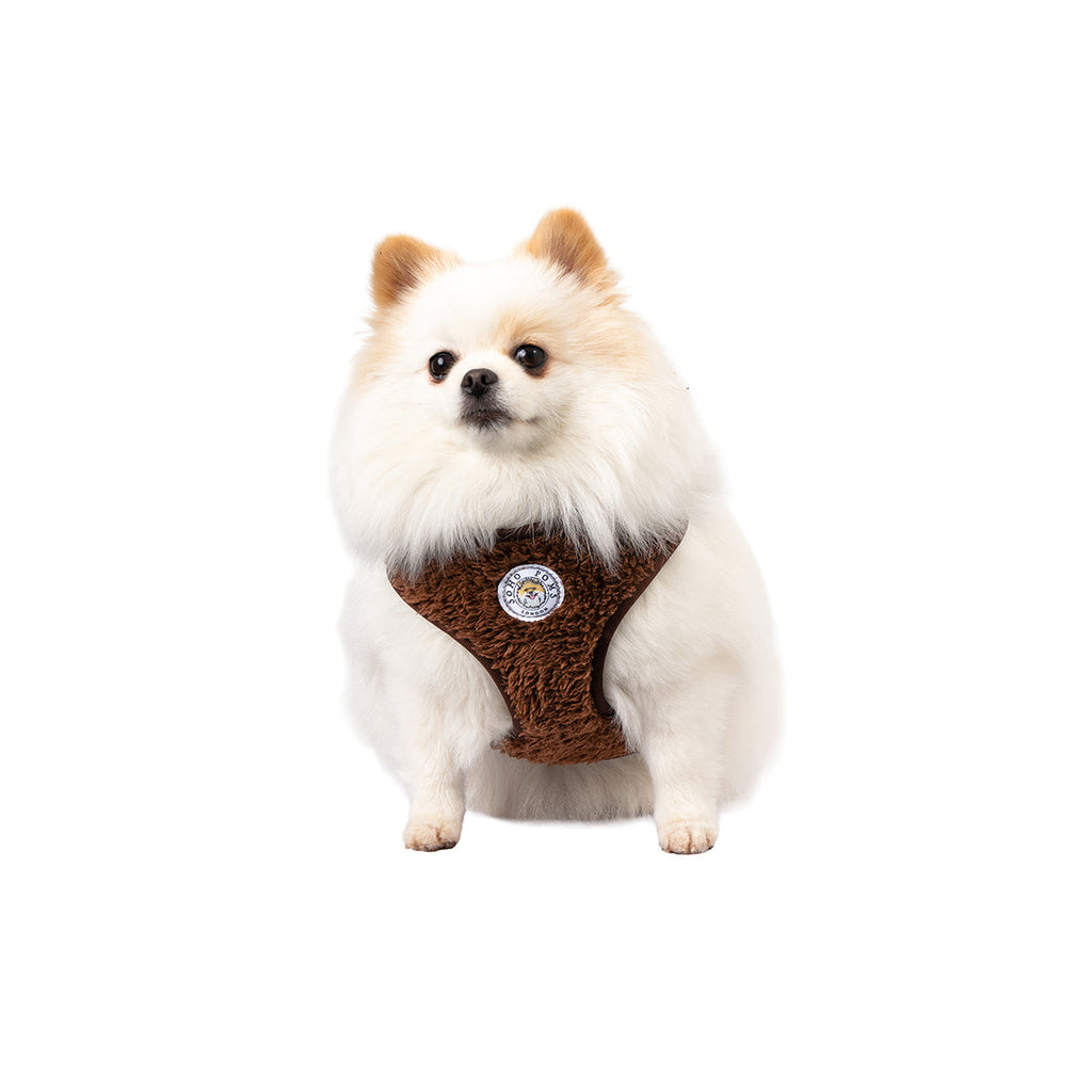 Soho Poms Carnaby Harness - Cocoa Bean