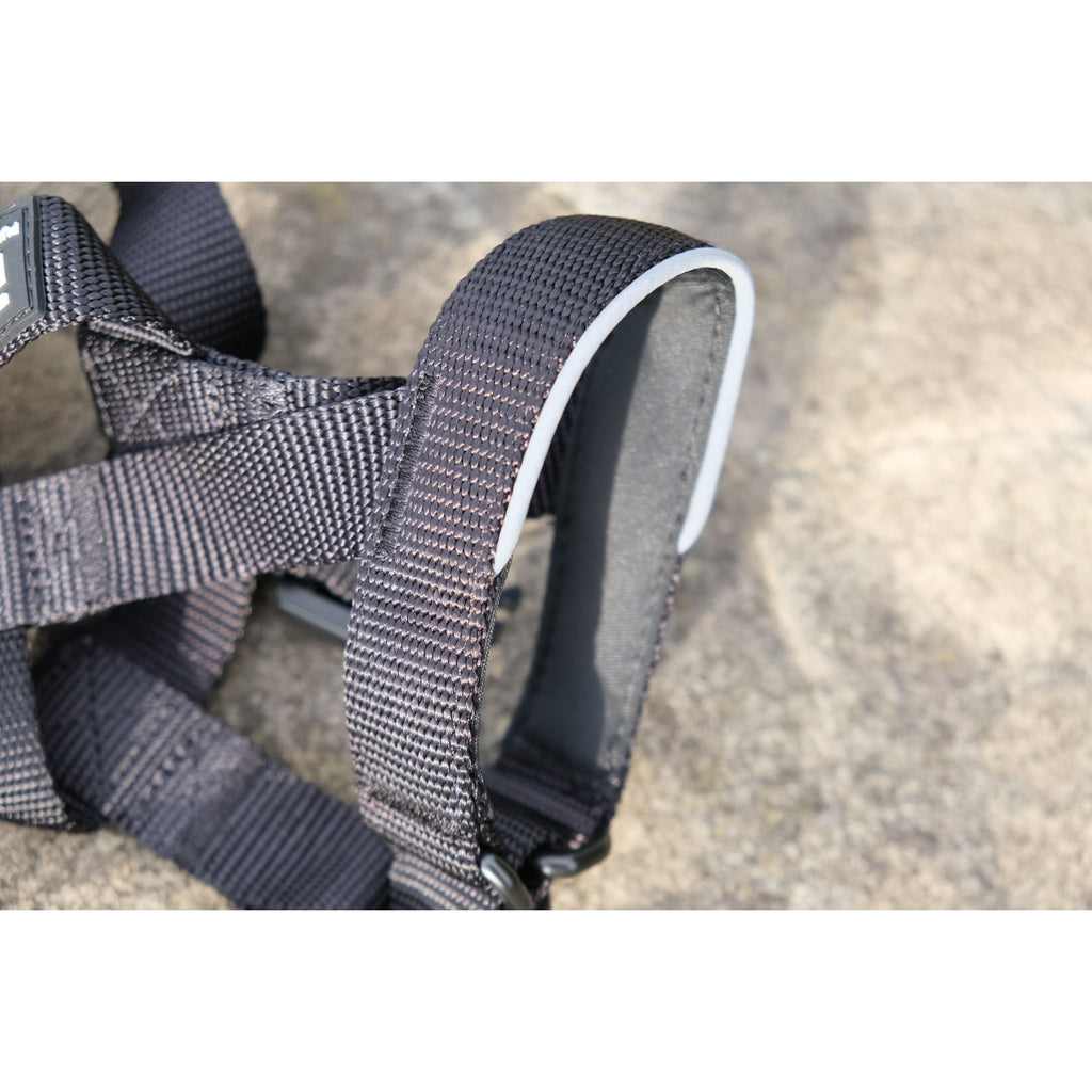 Dark head collar with padded inner loop and stitched webbing