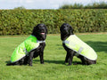 Waterproof Dog Coat - High Viz Yellow