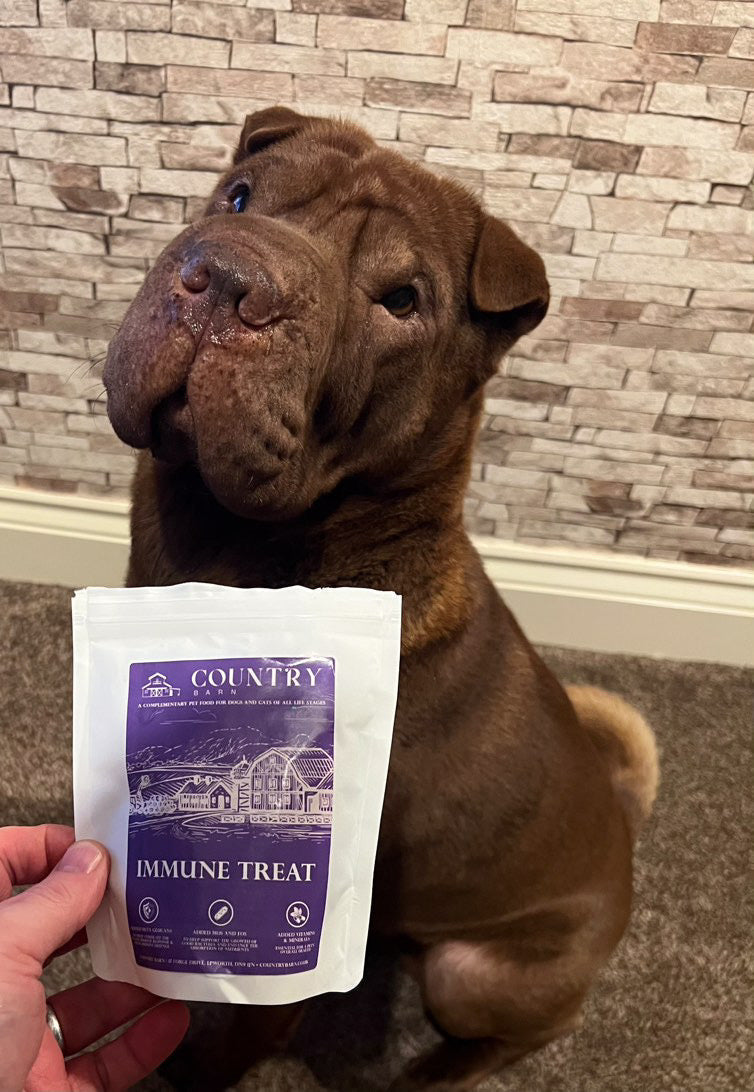 Immune Boost Bites | Duck & Chicken Dog Treats with Beta Glucans, Nucleotides & Vitamins
