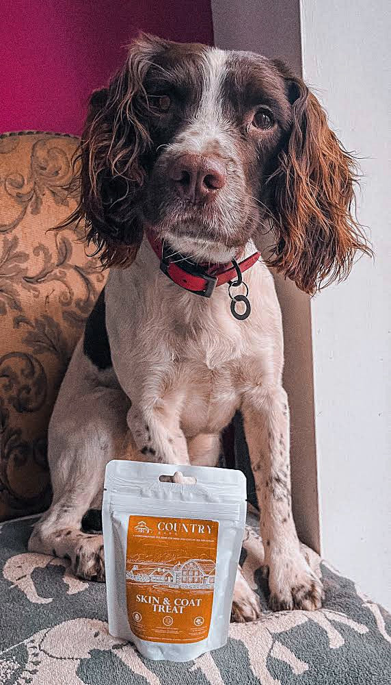 Skin & Coat Boost Chicken Dog Treats | Omega-3, Zinc & Biotin for a Healthy, Shiny Coat