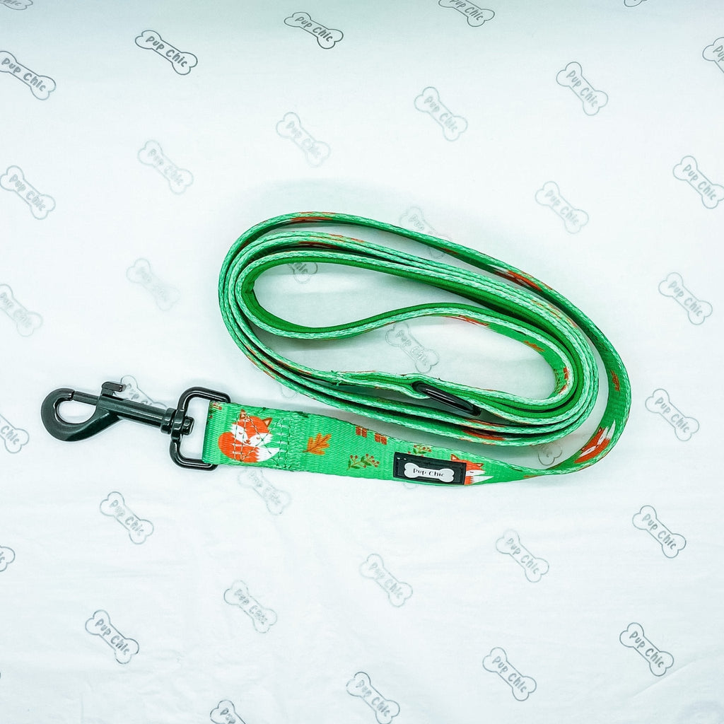 Inquisitive Fox 5ft Dog Lead