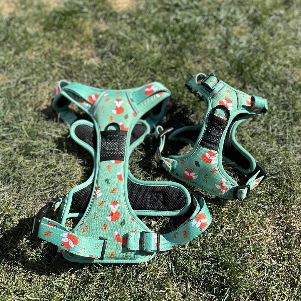 Inquisitive Fox No Pull Tactical Dog Harness