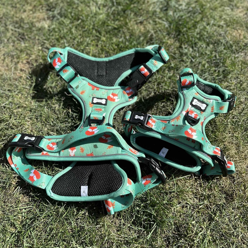 Inquisitive Fox No Pull Tactical Dog Harness