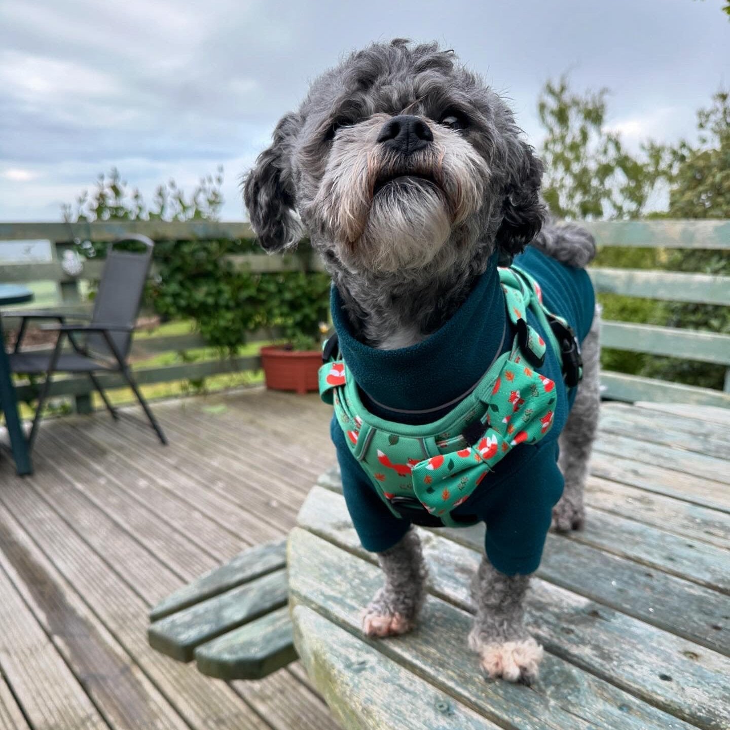Inquisitive Fox No Pull Tactical Dog Harness