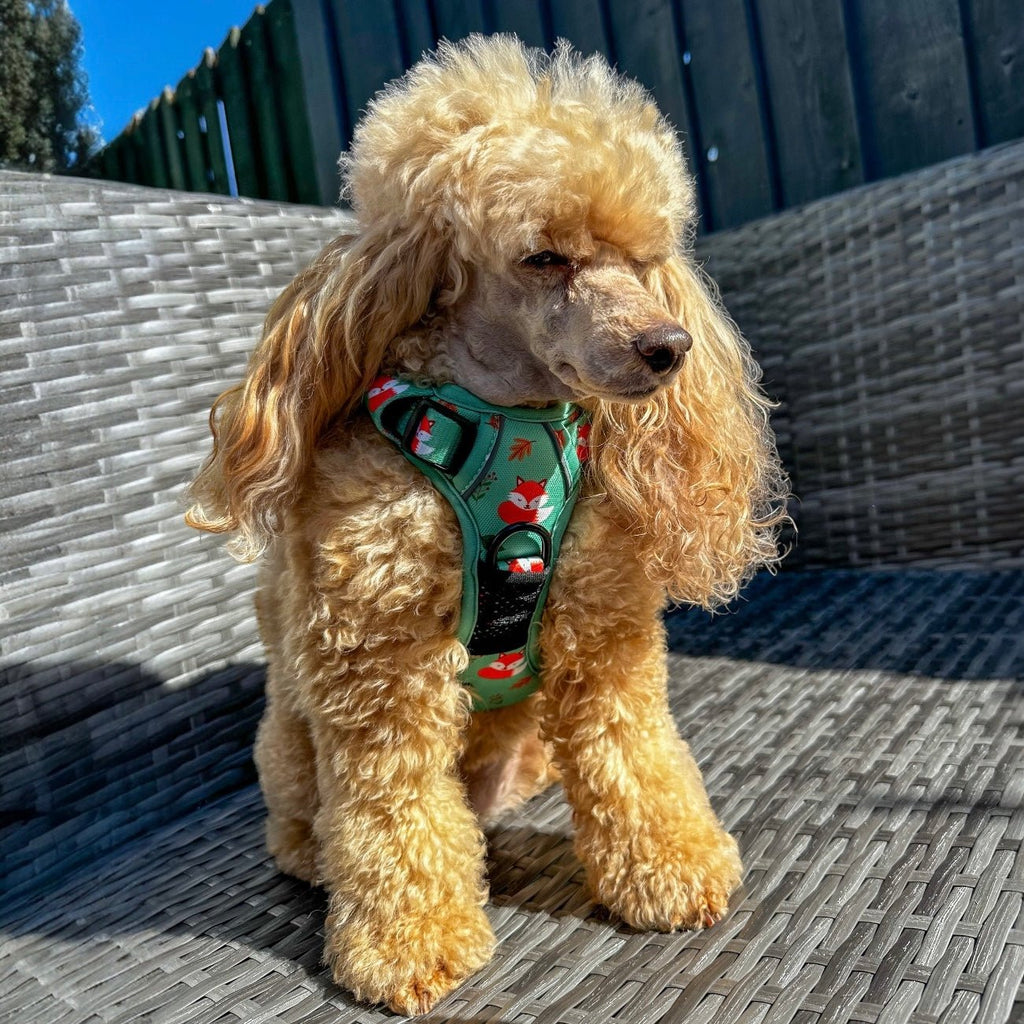Inquisitive Fox No Pull Tactical Dog Harness