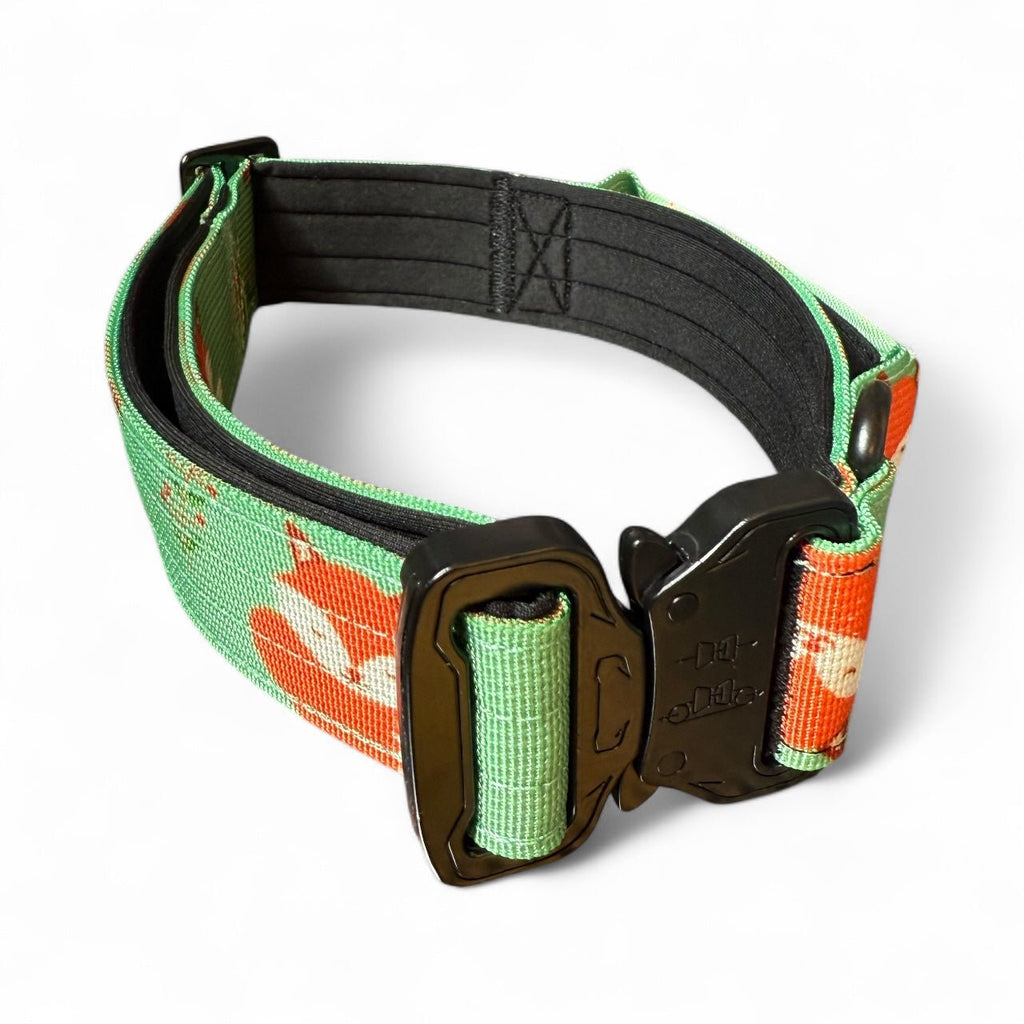 Inquisitive Fox Collar