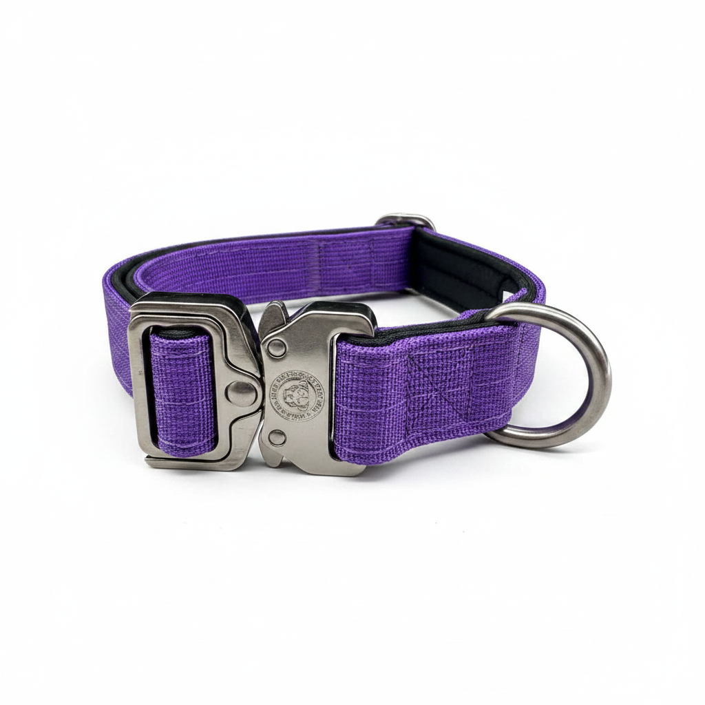 BTactical™ tactical dog collar in lavender purple with metal buckle and D-ring
