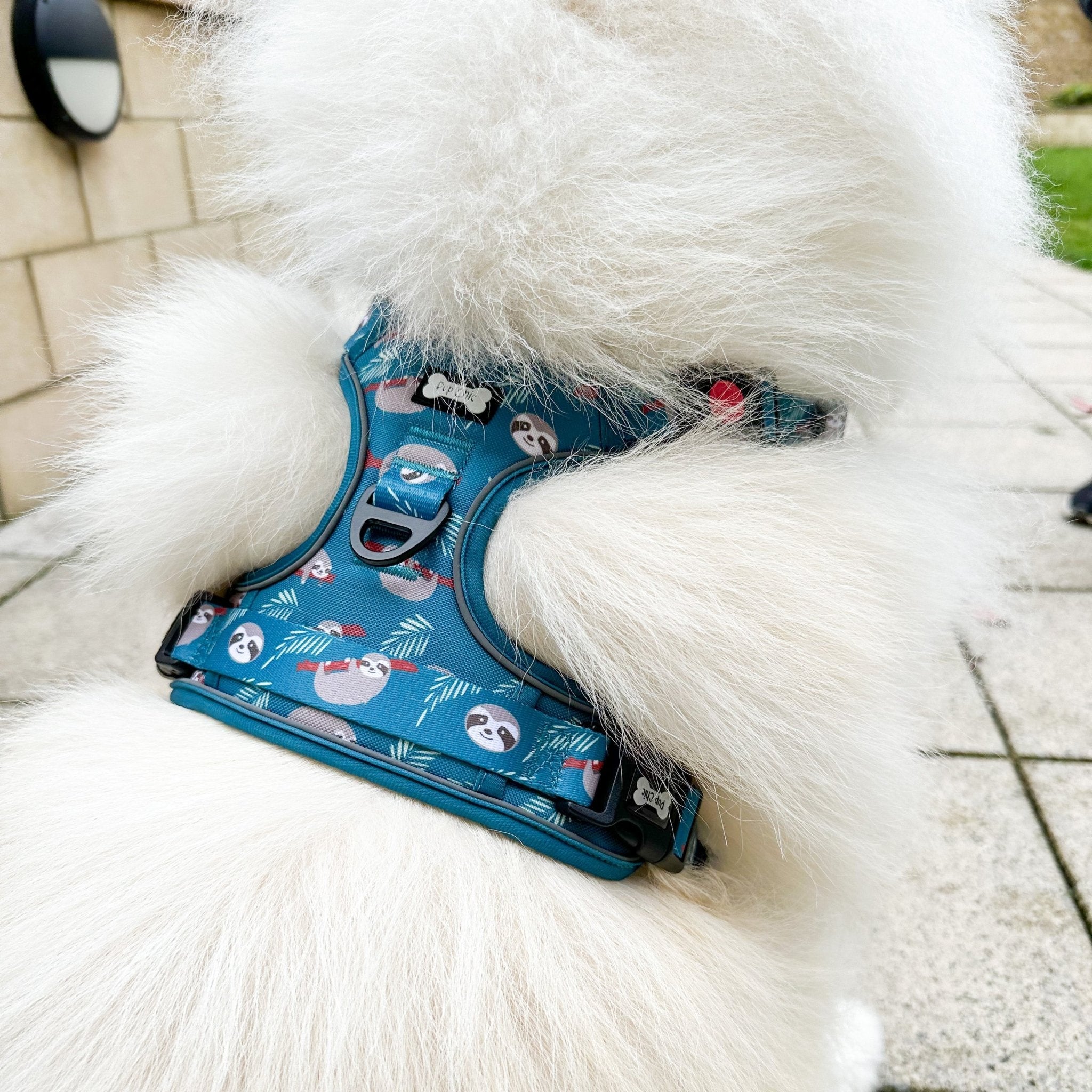 Lazy Sloth No-Pull Tactical Dog Harness – Mint Green Sloth Print | Pup Chic Boutique