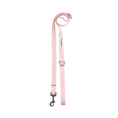Blush rose dog leash with adjustable strap and metal clip