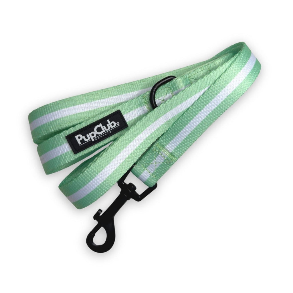 Pastel green dog lead with black clasp and adjustable hook
