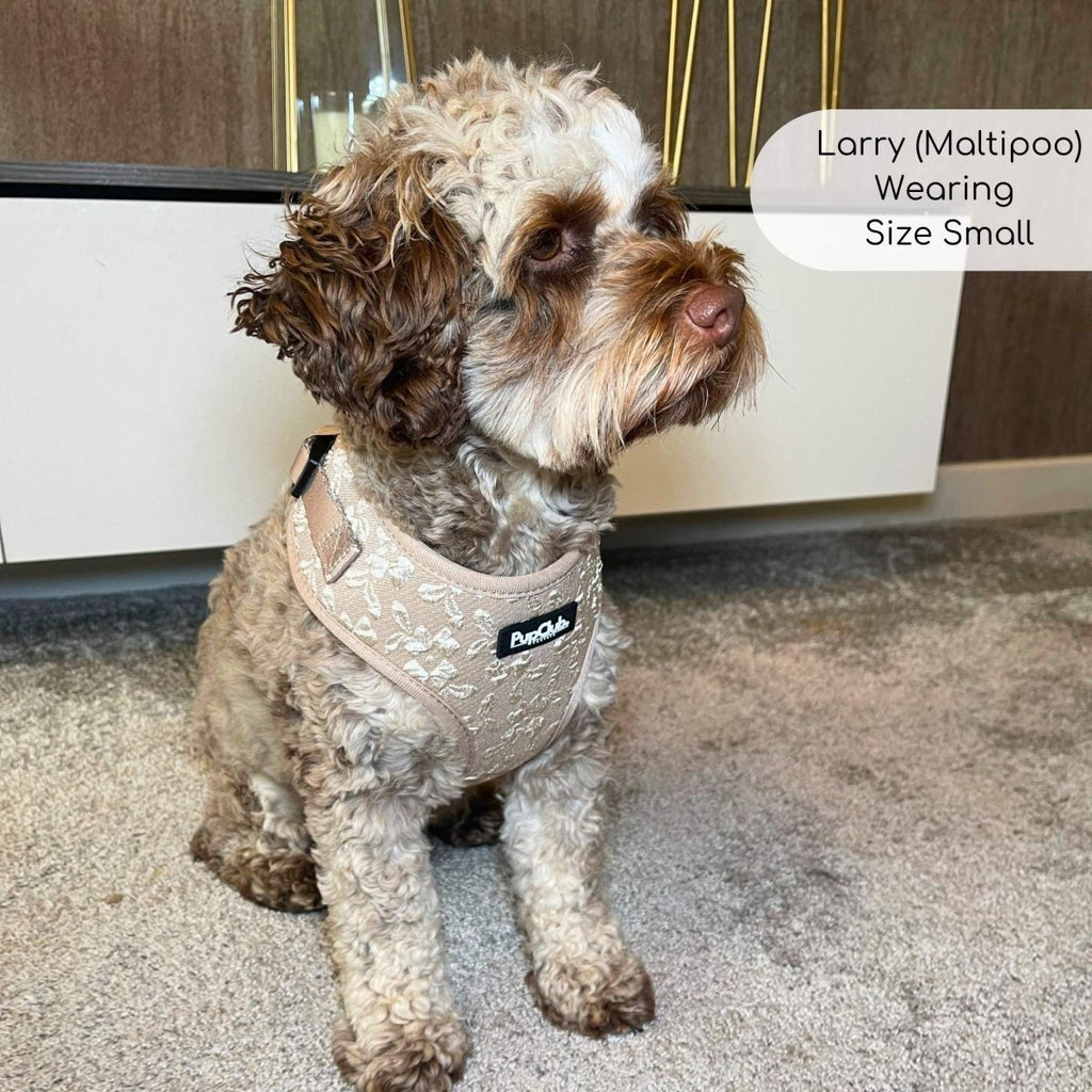 Toffee Latte Petals Luxe Adjustable Dog Harness | Embroidered Floral