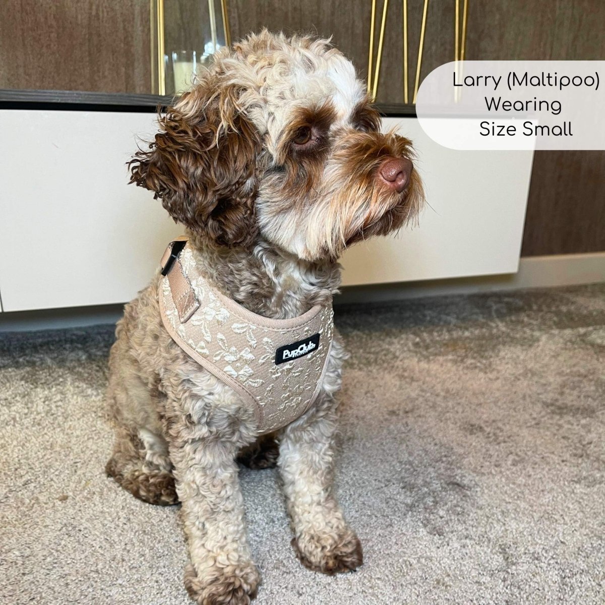 Toffee Latte Petals Luxe Adjustable Dog Harness | Embroidered Floral