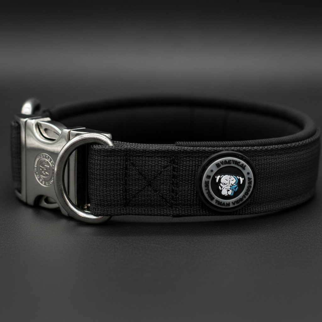 Black tactical dog collar with steel D-ring, buckle, and circular logo patch