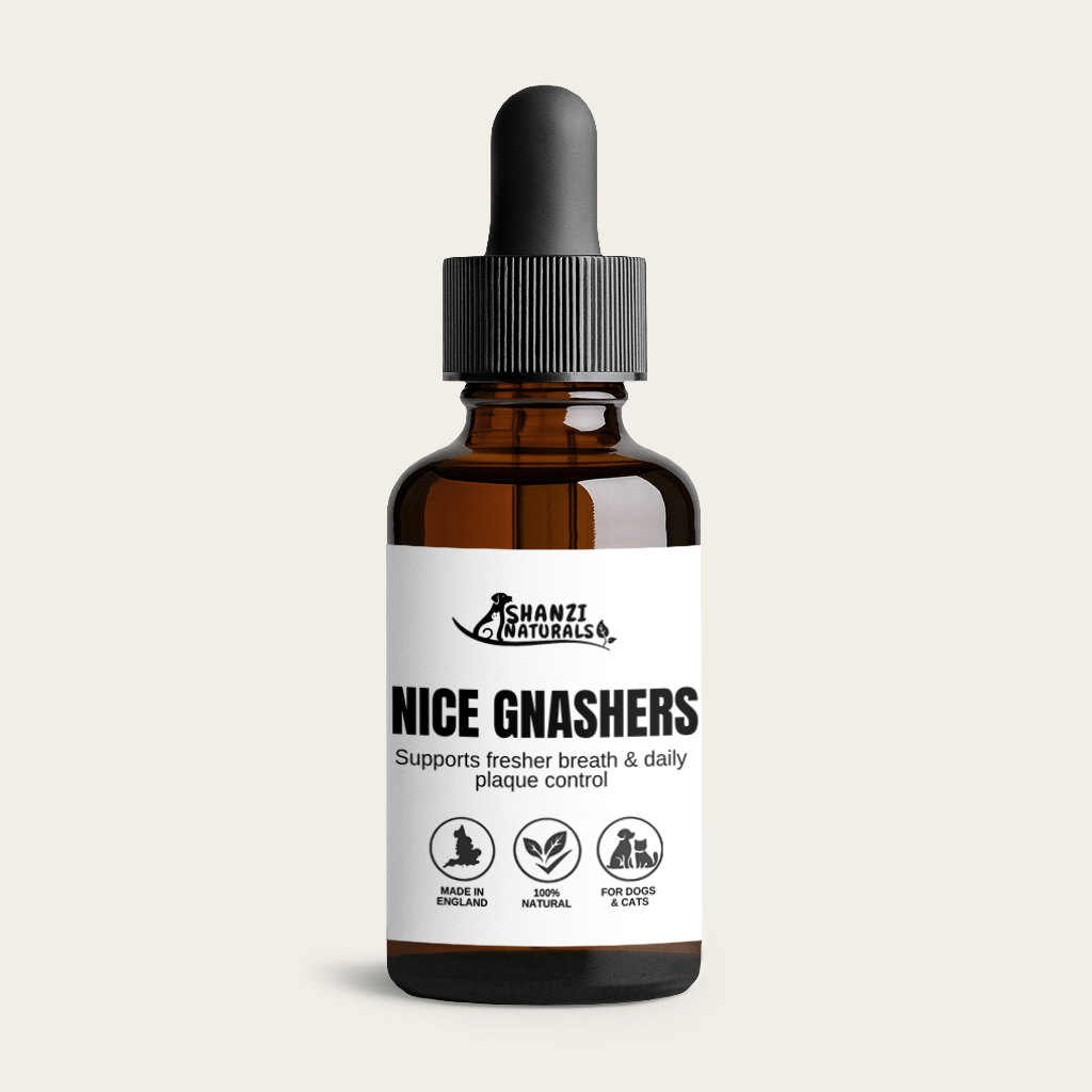 Nice Gnashers Dental Tincture for Dogs & Cats | Daily Fresh Breath & Oral Hygiene Support