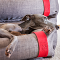 NufNuf Bobbie Bed: The Ultimate Comfort for Your Dog