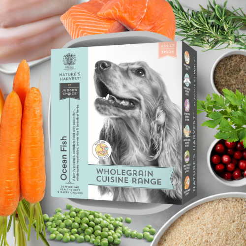 Salmon, White Fish & Vegetables with Brown Rice - Adult