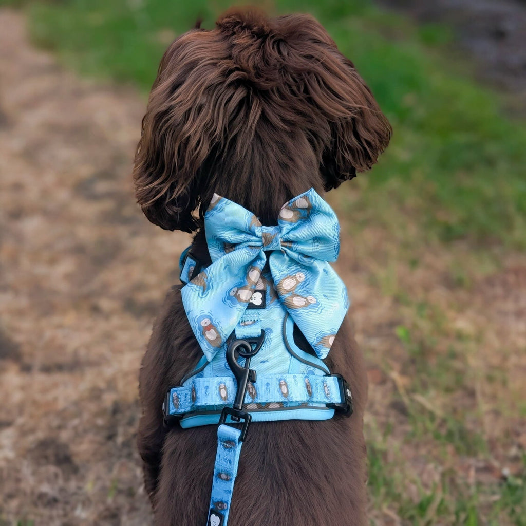 Otterly Lovely Sailor Bow – Teal Otter Print | Pup Chic Boutique