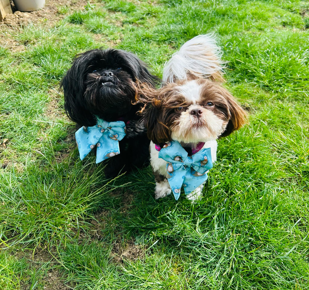 Otterly Lovely Sailor Bow – Teal Otter Print | Pup Chic Boutique