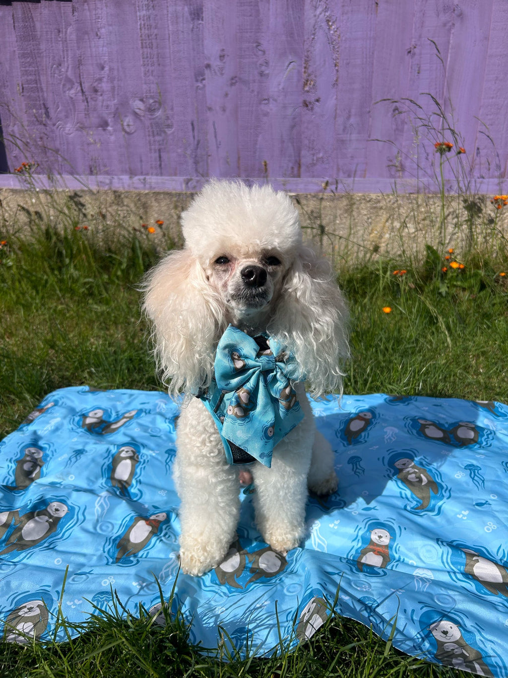 Otterly Lovely Sailor Bow – Teal Otter Print | Pup Chic Boutique