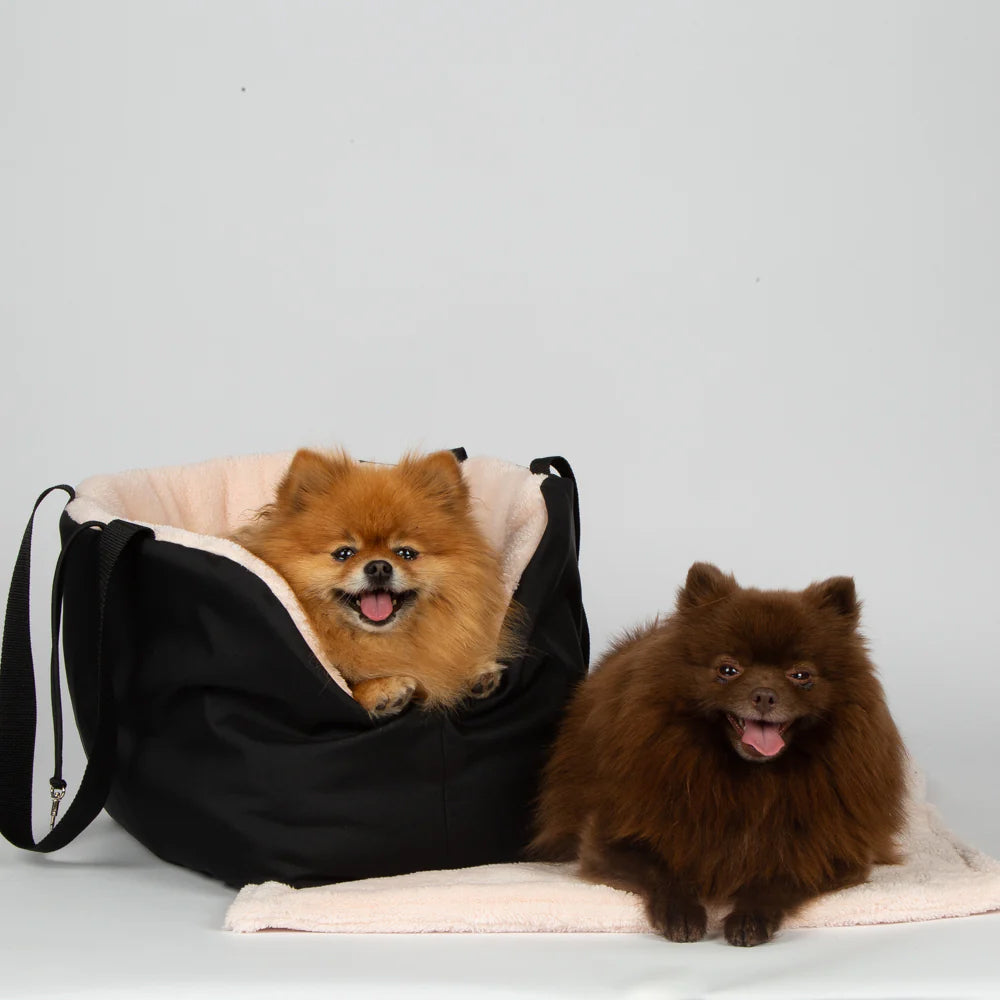 Black dog carrier with light pink plush lining, with two dogs resting inside