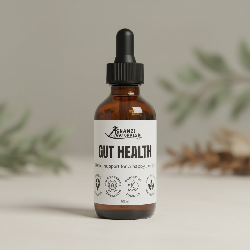 Tincture bottle with black dropper, amber glass, label reads Gut Health, 100ml.