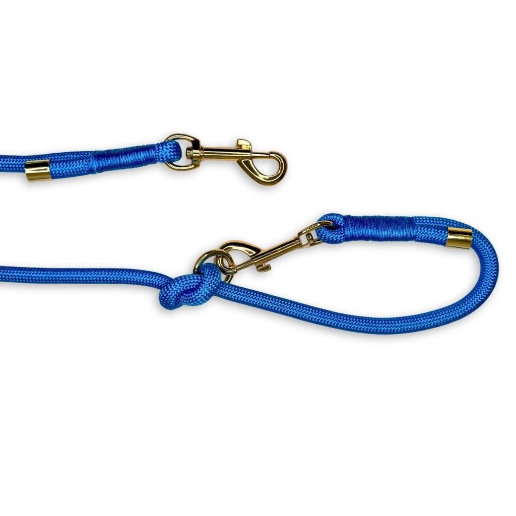 Blue rope lead with metal swivel ring and two snap hooks