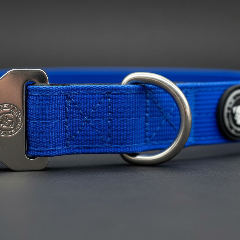 Close-up of royal blue dog collar strap with D-ring and metal plate