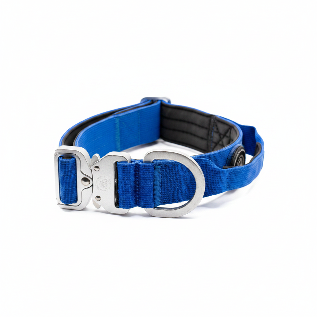 BTactical tactical dog collar with handle, royal blue webbing and adjustable silver buckle