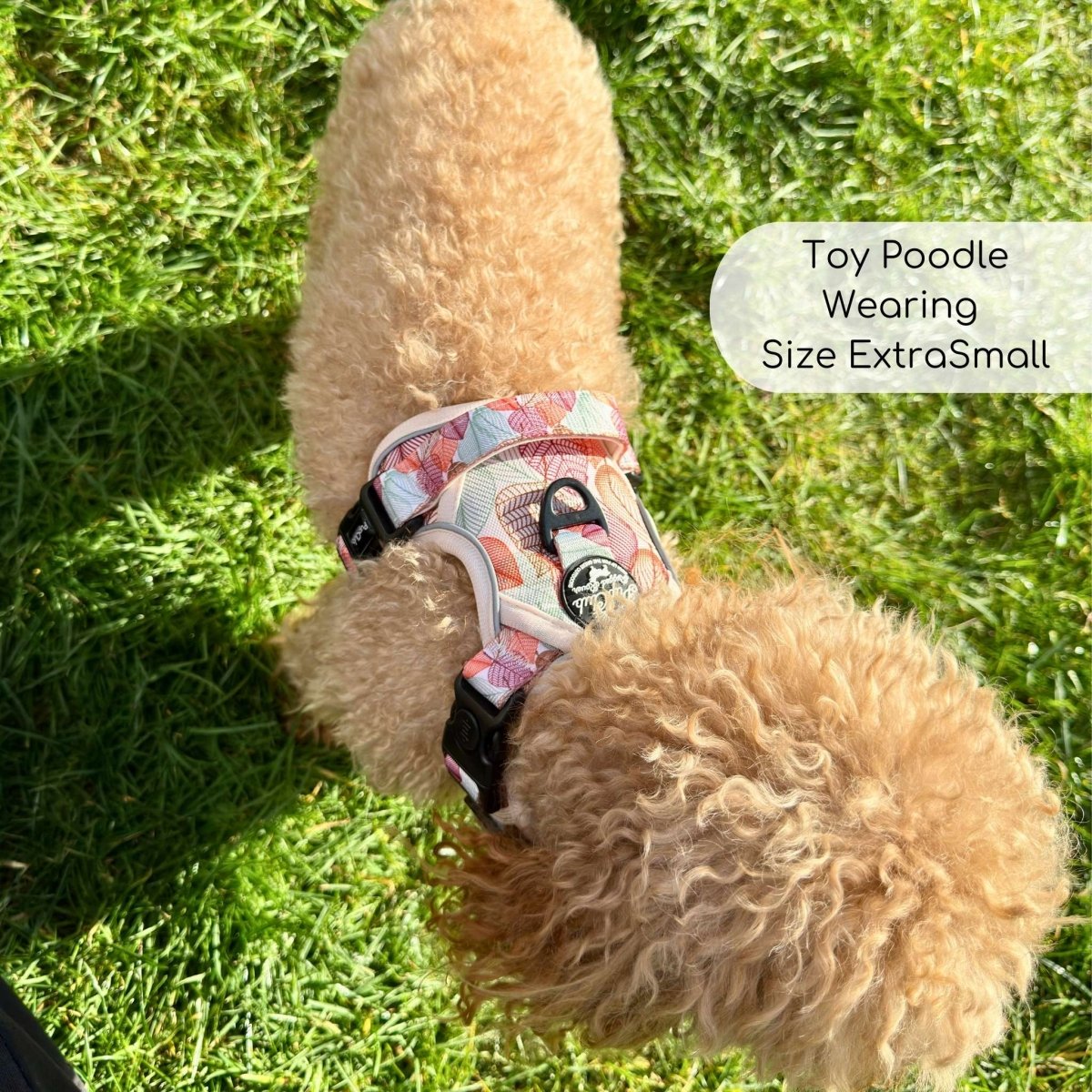 Dog harness with leaf-pattern fabric and padded tan chest panel