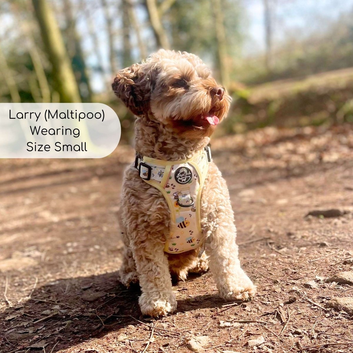 Dog harness vest with yellow bee print, front ring and adjustable black straps