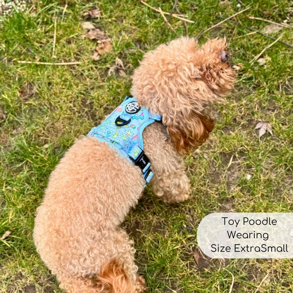Blue dinosaur-print dog harness with black buckles, side view on a dog