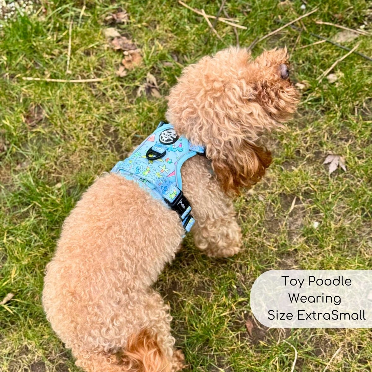 Blue dinosaur-print dog harness with black buckles, side view on a dog