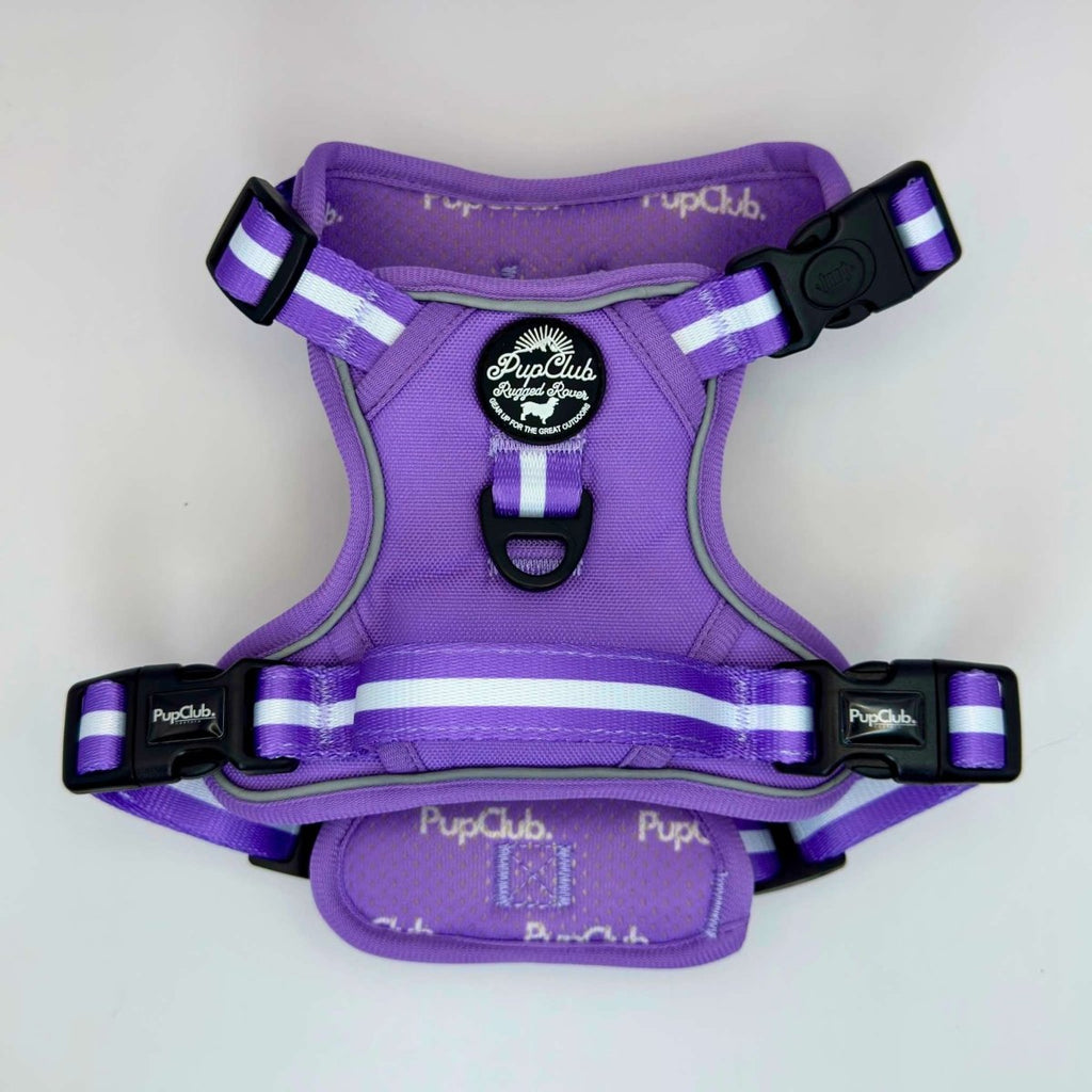 Lilac dog harness with Y-strap front, black buckles, and light stripe accents