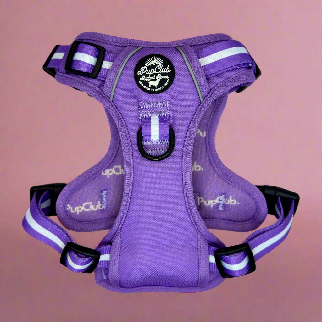 Lilac pet harness with front chest strap, black buckle hardware, and reflective stripes