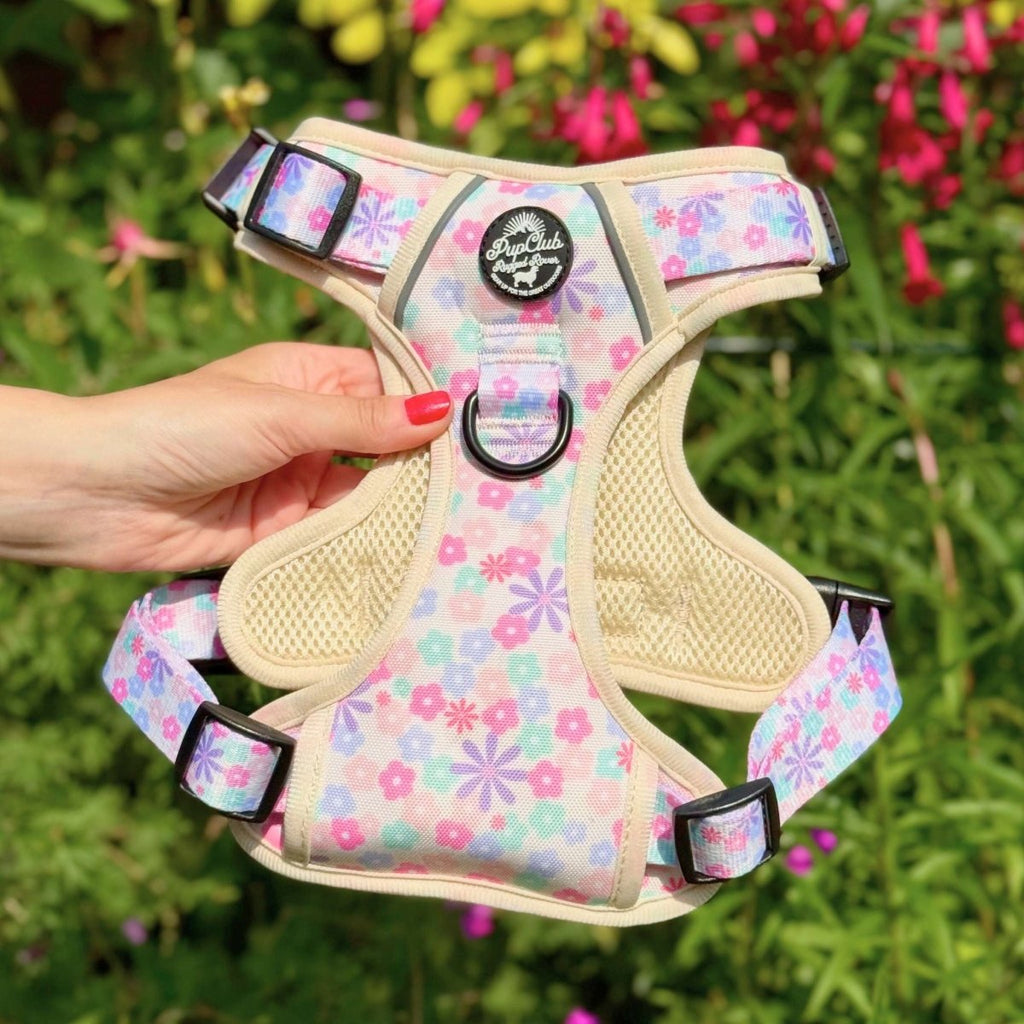 Padded dog harness with pastel floral pattern, mesh panels, and black buckles