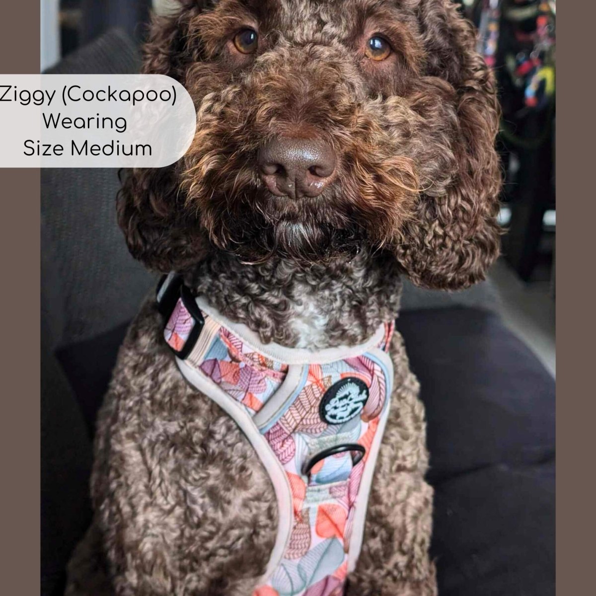 Dog harness with leaf-pattern front panel and black side straps