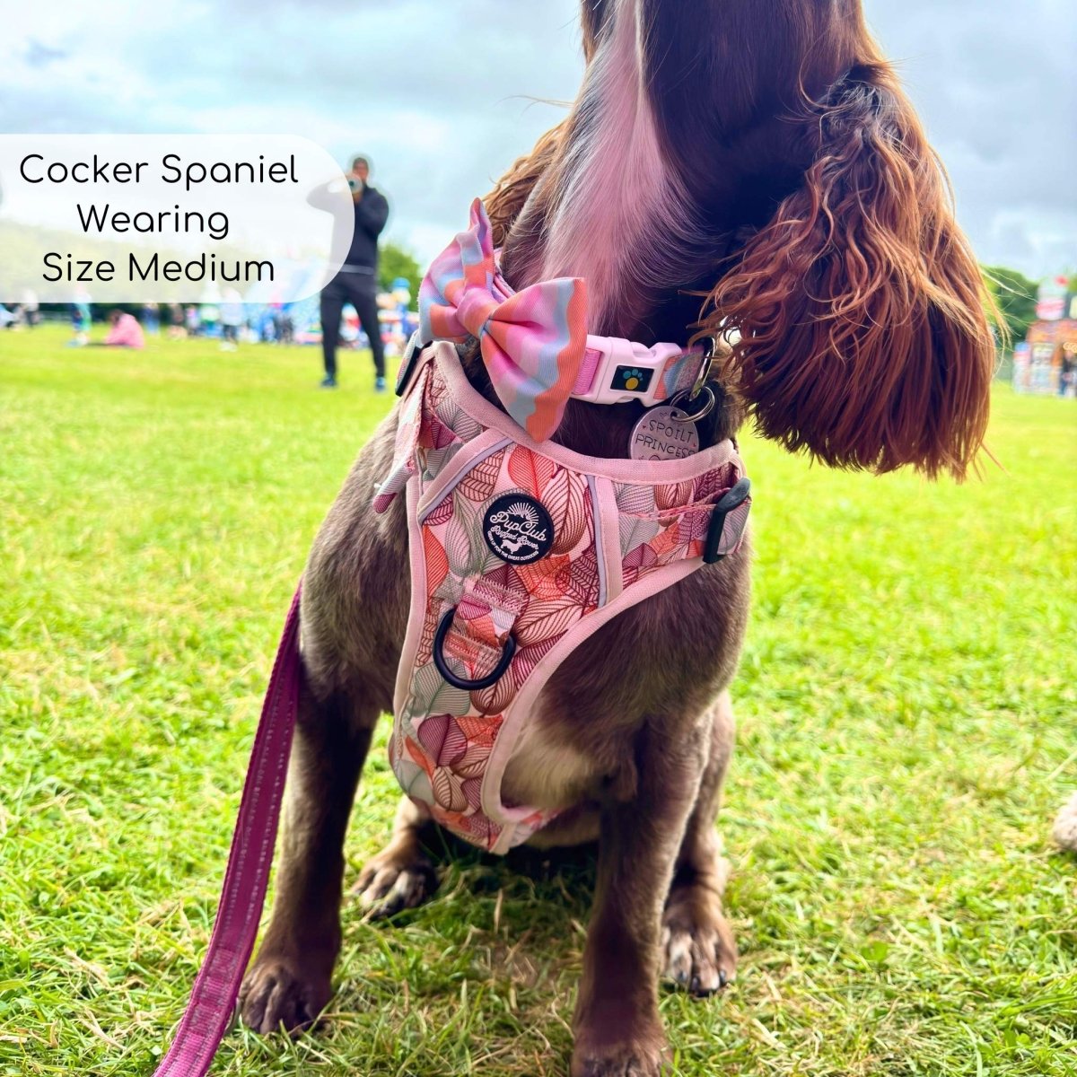 Dog harness with leaf-pattern fabric and black adjustable straps