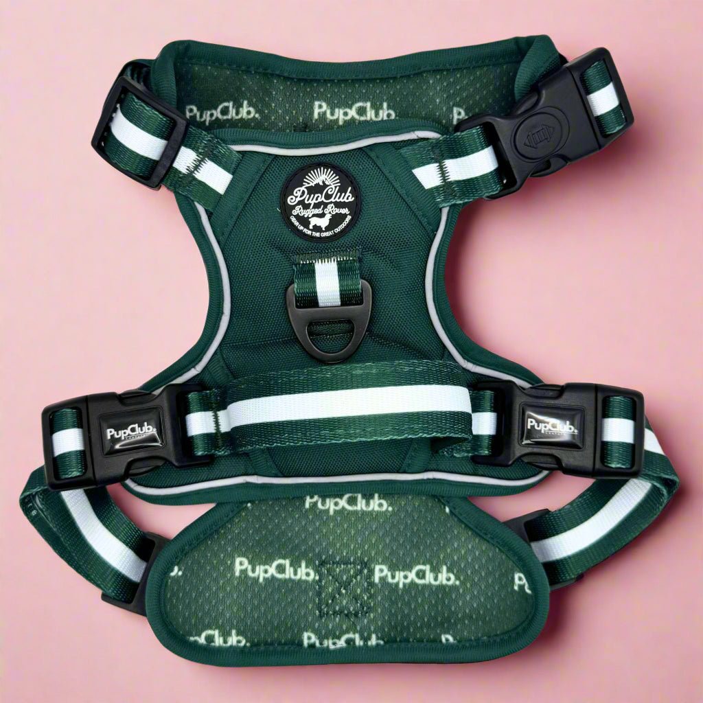 Forest green dog harness with black buckle and white stripe webbing
