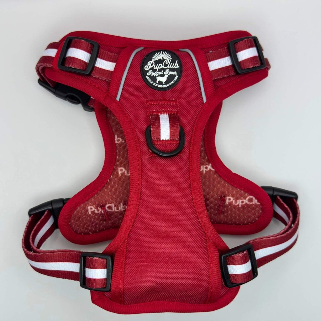 Berry red dog harness with front chest strap and black buckle, striped webbing
