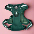 Forest green front-clip dog harness with white stripe straps and chest pad