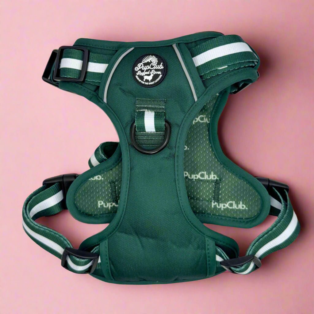 Forest green front-clip dog harness with white stripe straps and chest pad