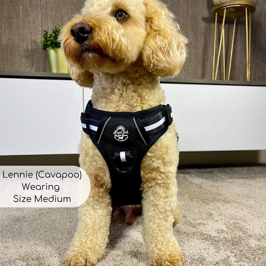 Midnight black dog harness with white stripe bands and front chest buckle