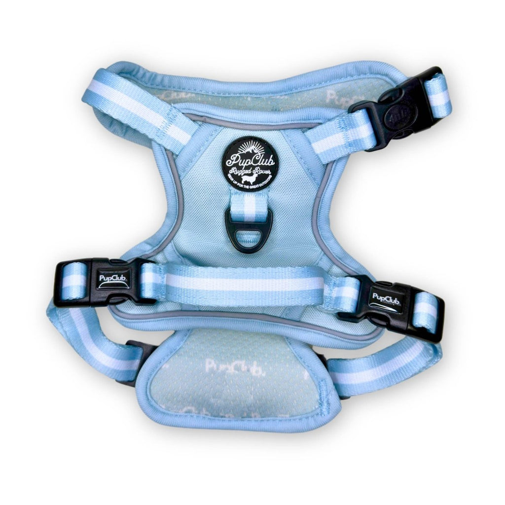 Pastel blue dog harness, back and side straps with padded belly panel and buckles