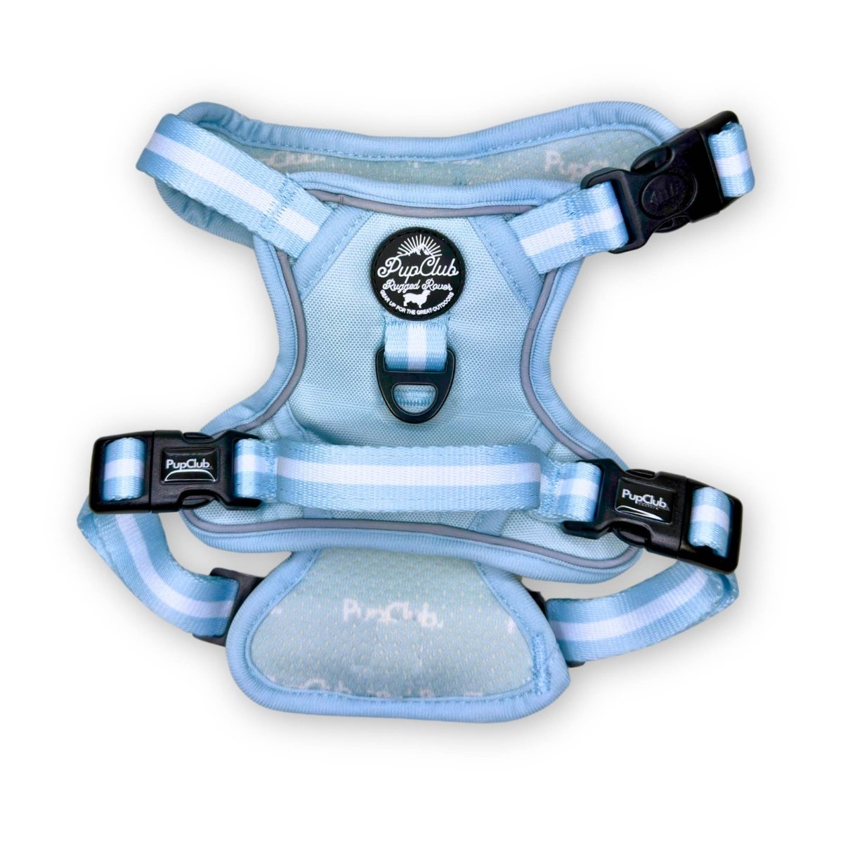 Pastel blue dog harness, back and side straps with padded belly panel and buckles