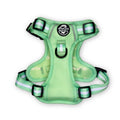 Mint green no-pull dog harness with front ring and striped webbing