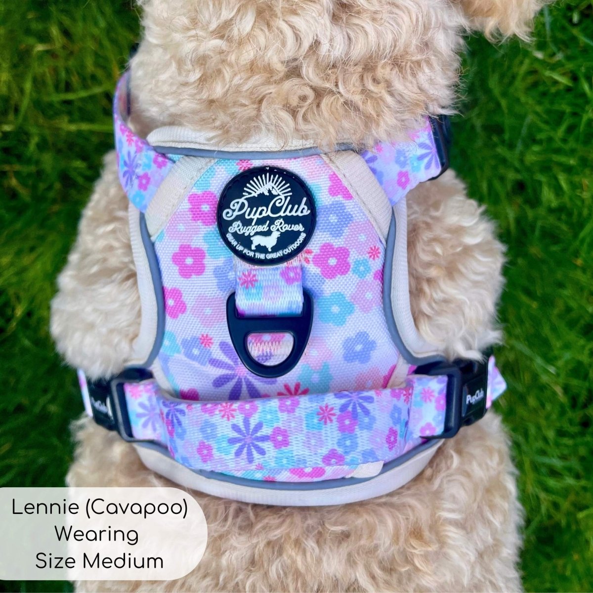 Close-up of pastel floral padded dog harness with mesh panels and black front clasp