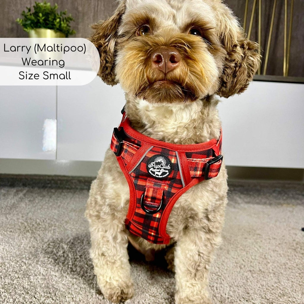 Rugged Rover™ red tartan dog harness with black buckles and logo chest patch